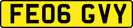 FE06GVY