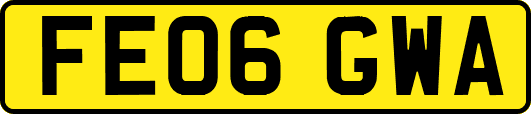 FE06GWA