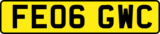 FE06GWC