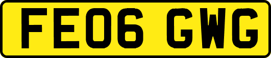 FE06GWG