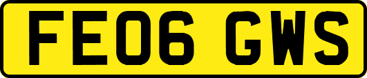 FE06GWS