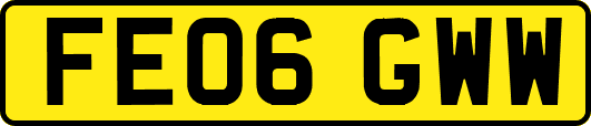 FE06GWW
