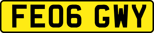 FE06GWY