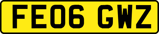 FE06GWZ