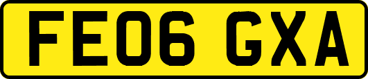 FE06GXA