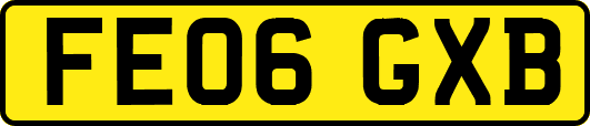 FE06GXB