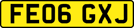 FE06GXJ