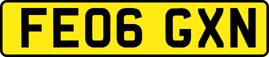 FE06GXN