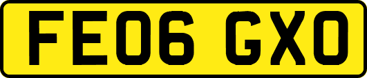 FE06GXO