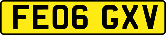 FE06GXV