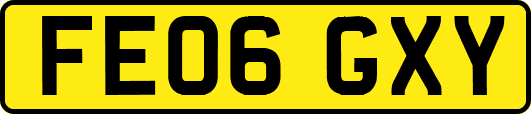 FE06GXY