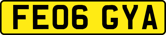 FE06GYA