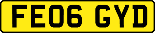 FE06GYD