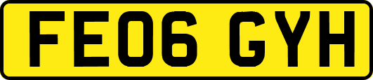 FE06GYH
