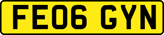 FE06GYN
