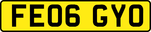 FE06GYO