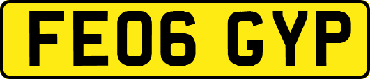 FE06GYP