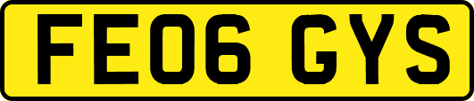 FE06GYS
