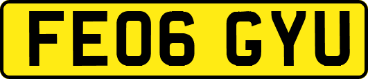 FE06GYU