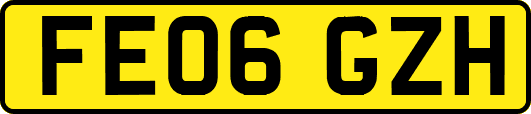 FE06GZH