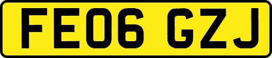 FE06GZJ