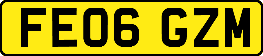 FE06GZM