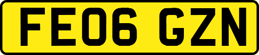 FE06GZN