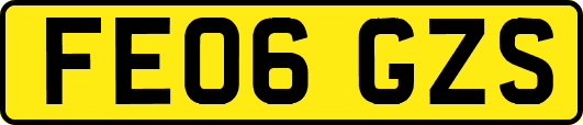 FE06GZS