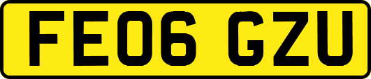 FE06GZU