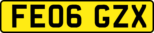 FE06GZX