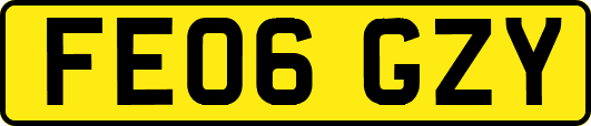 FE06GZY