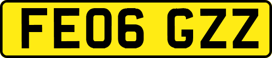 FE06GZZ