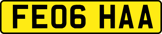 FE06HAA