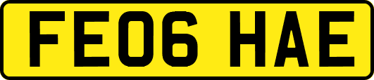 FE06HAE