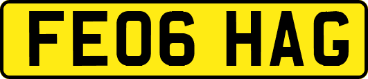 FE06HAG