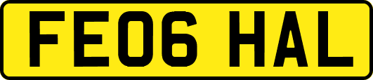 FE06HAL