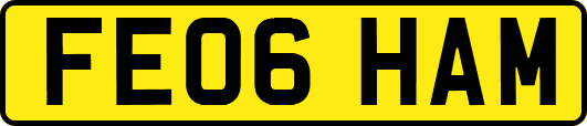 FE06HAM