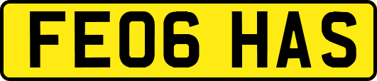 FE06HAS