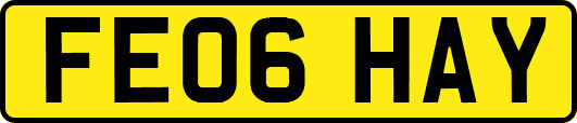 FE06HAY