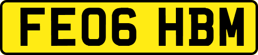 FE06HBM