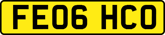 FE06HCO