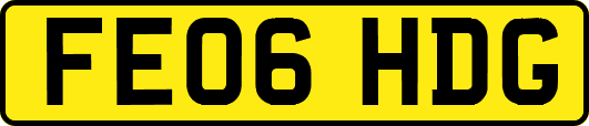 FE06HDG