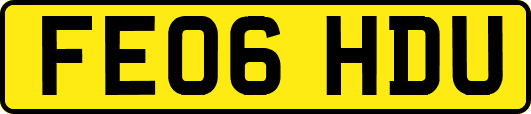 FE06HDU