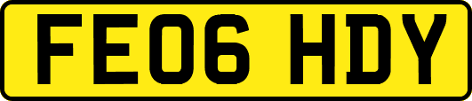 FE06HDY