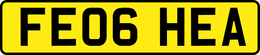 FE06HEA