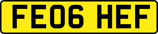 FE06HEF
