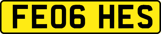 FE06HES