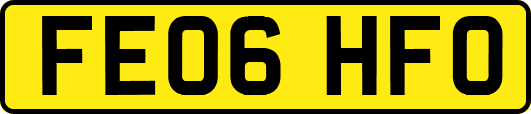 FE06HFO