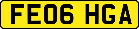 FE06HGA