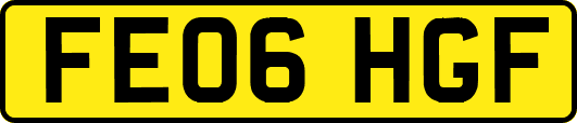 FE06HGF